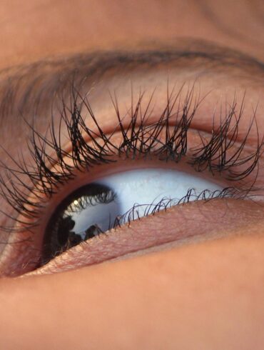 eye, eye lid, eye ball, eye hair, eye, eye ball, eye ball, eye ball, eye ball, eye ball